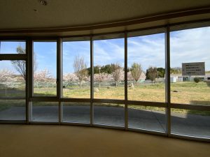 大きな窓から見える施設周辺の緑地と外構